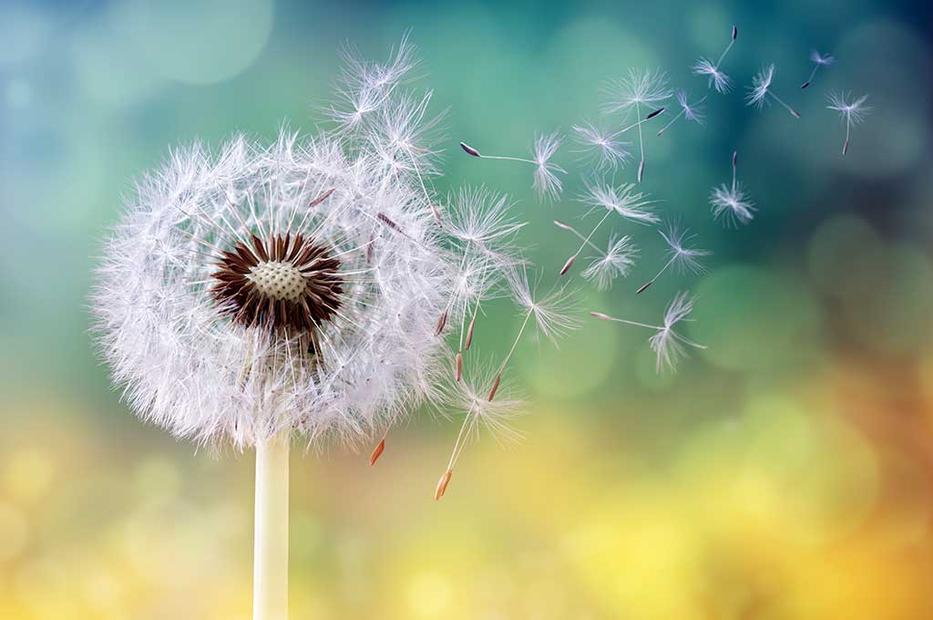 allergie respiratorie