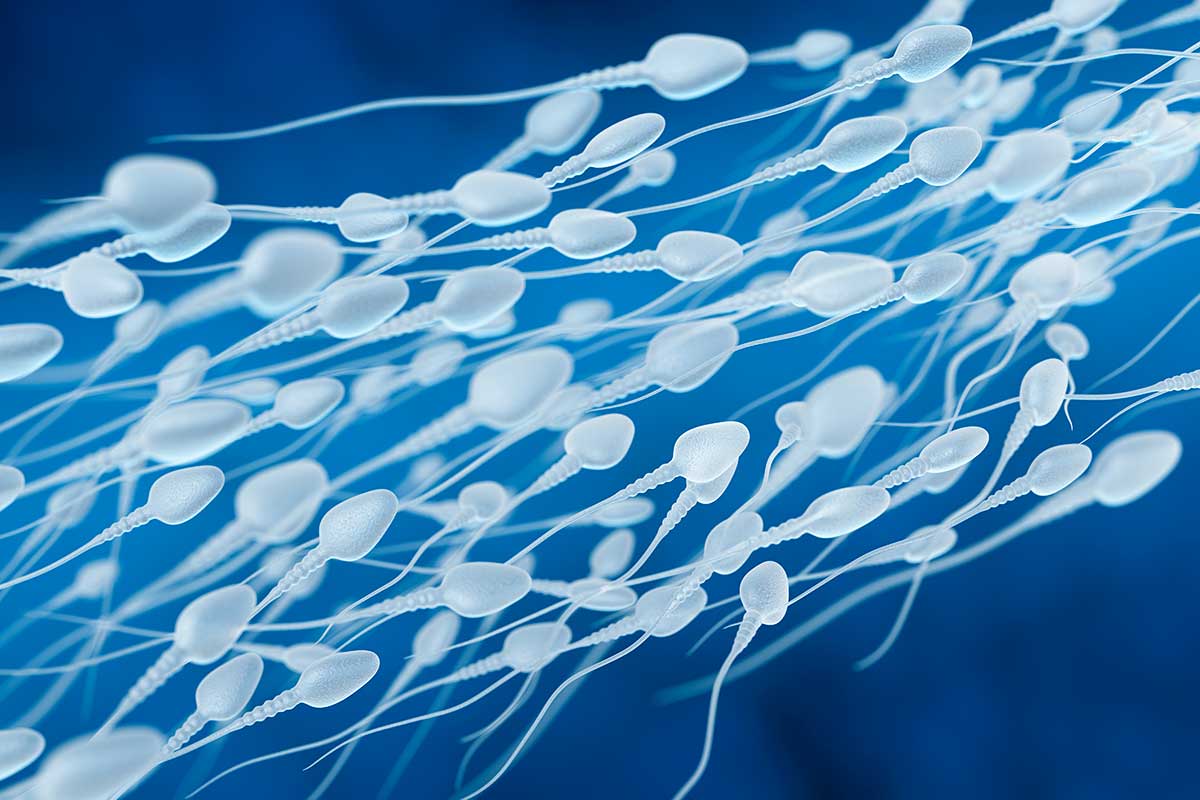 preservazione della specie