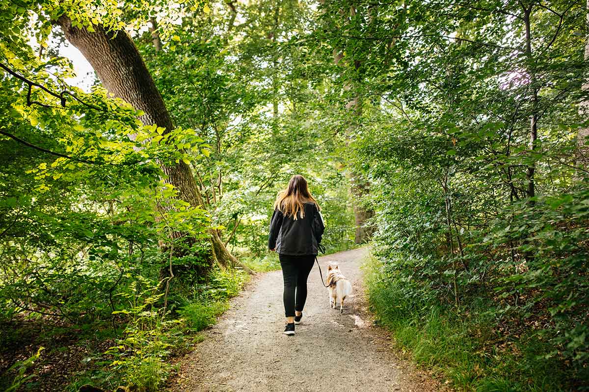 Camminata col cane