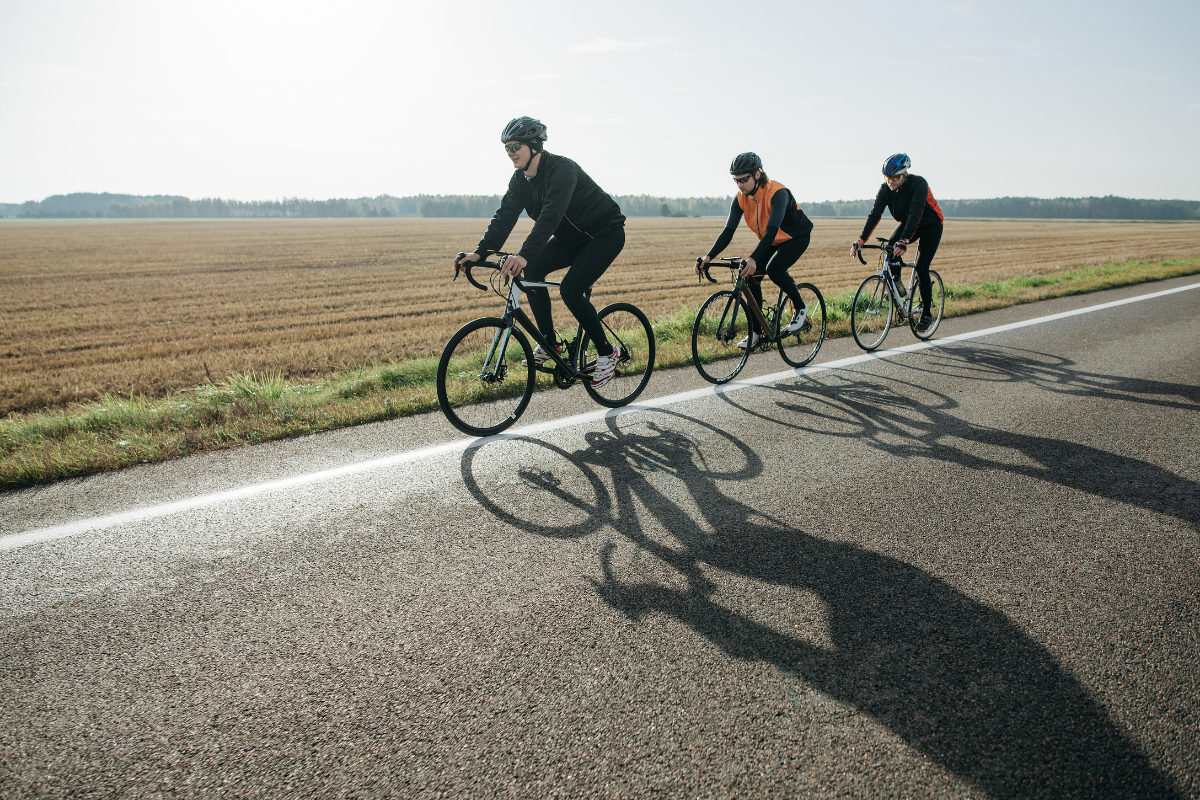 4 palestra monza benvita